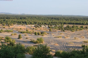 Pustynia Błędowska - widok z Chechła