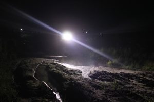 IMG_0059