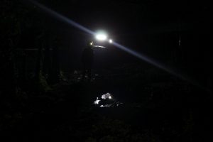 IMG_0060