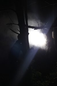 IMG_0061