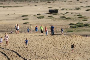 IMG_0800