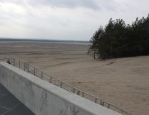 Wzgórze Dąbrówka w Chechle – punkt widokowy na Pustynię Błędowską