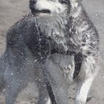Bieg Herosa – fotorelacja – cz. I – zdjęcie 17