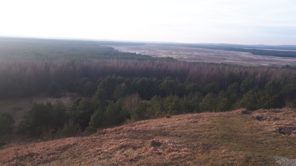 Błędowska pustynia zdjęcie