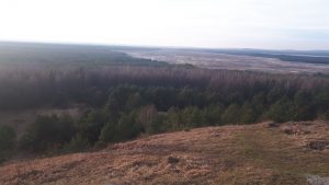Błędowska pustynia zdjęcie
