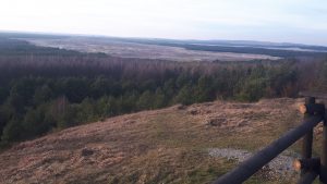 Widok z pustyni