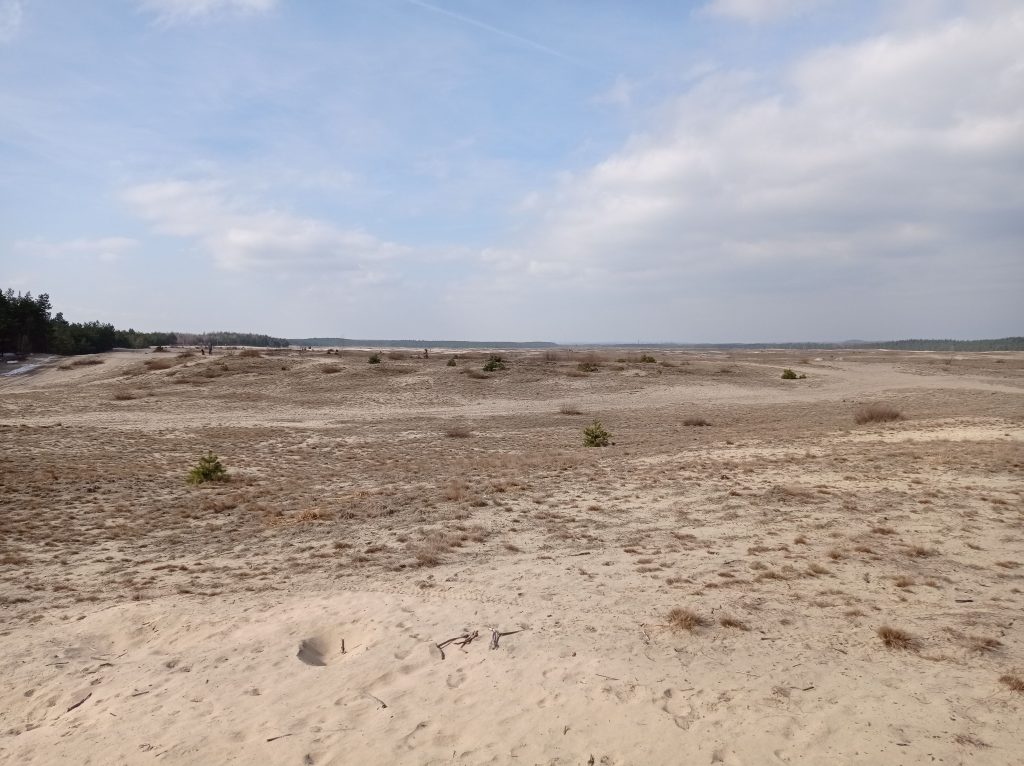Pustynia Błędowska w marcu – zdjęcie 1