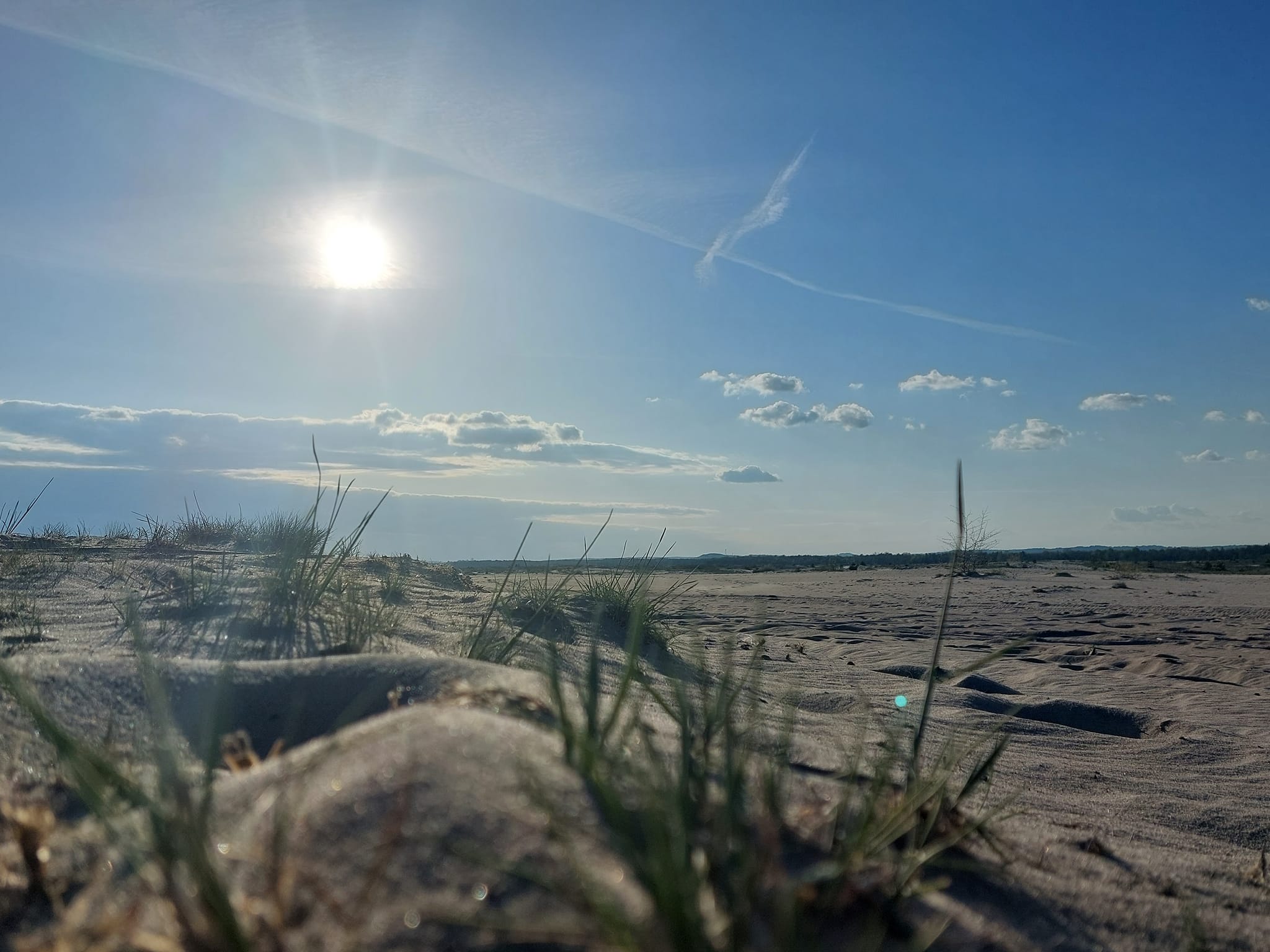 Pustynia Błędowska – wiosna 2023 – zdjęcie 3